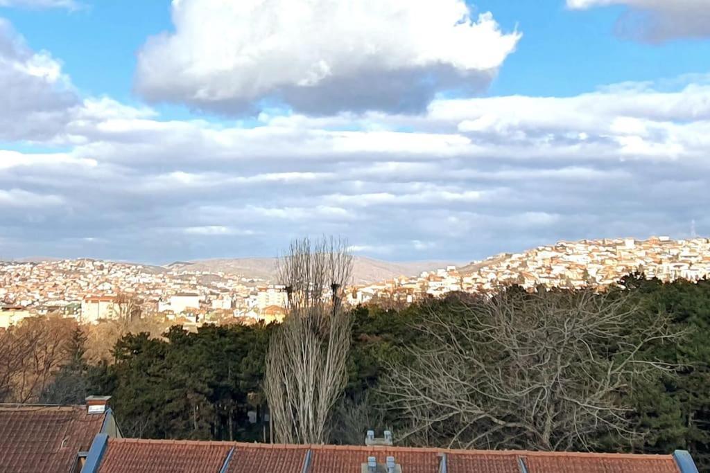 Floral Inn Priştine Dış mekan fotoğraf