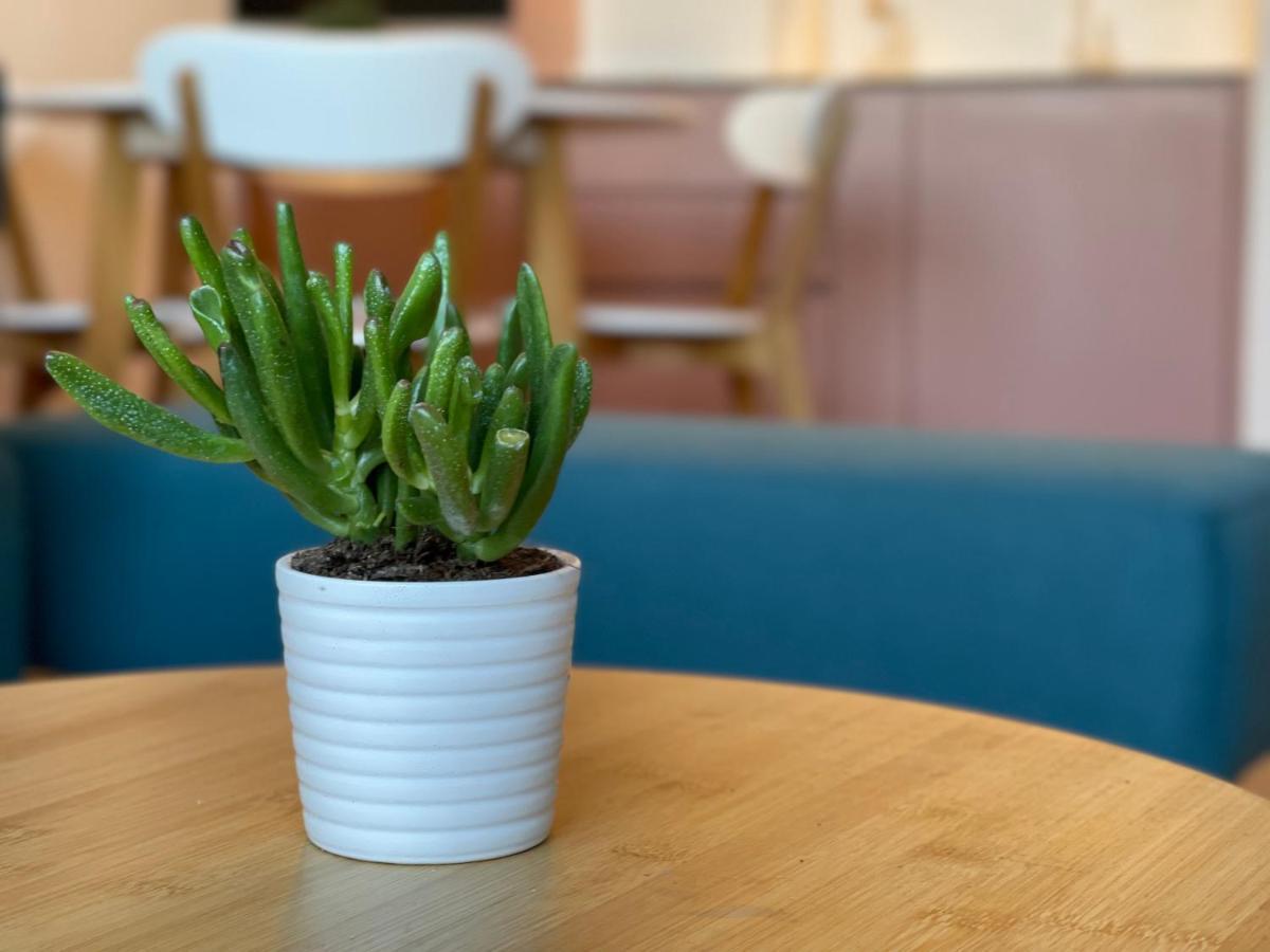 Floral Inn Priştine Dış mekan fotoğraf